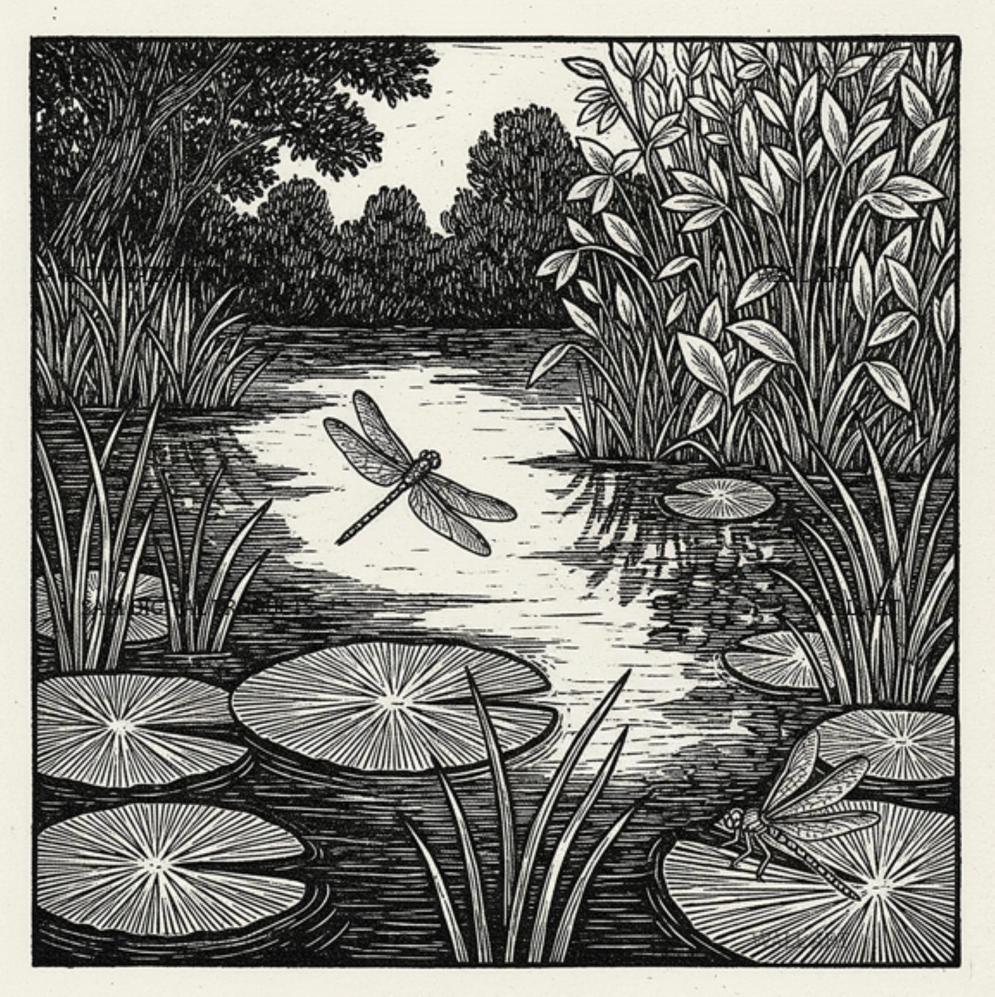 Dragonfly Pond Print Wetland Wall Art Printable Nature Botanical Insect Illustration Gift